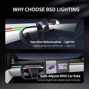 Saunyoto BSD Lighting with Open door welcome mode and auto-adjusts with car data for tesla